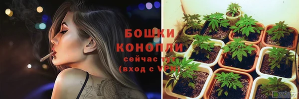 трава Касимов