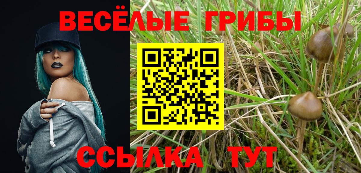 Псилоцибиновые грибы MAGIC MUSHROOMS  Вход с VPN  Первоуральск  Галлюциногенные грибы ЛСД 